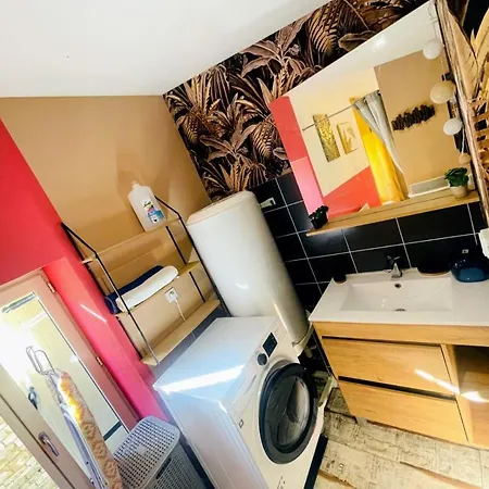 Charmante Petite Maison Avec Jardin Et Parking-niort Centre *