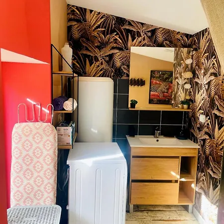 Charmante Petite Maison Avec Jardin Et Parking-niort Centre * Niort