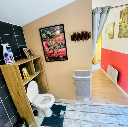 Charmante Petite Maison Avec Jardin Et Parking-niort Centre